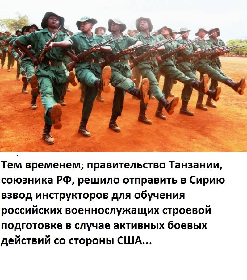 dggd0c.jpg