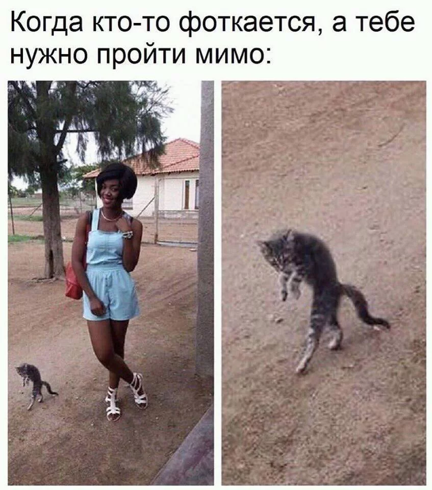 dgjeg6.webp