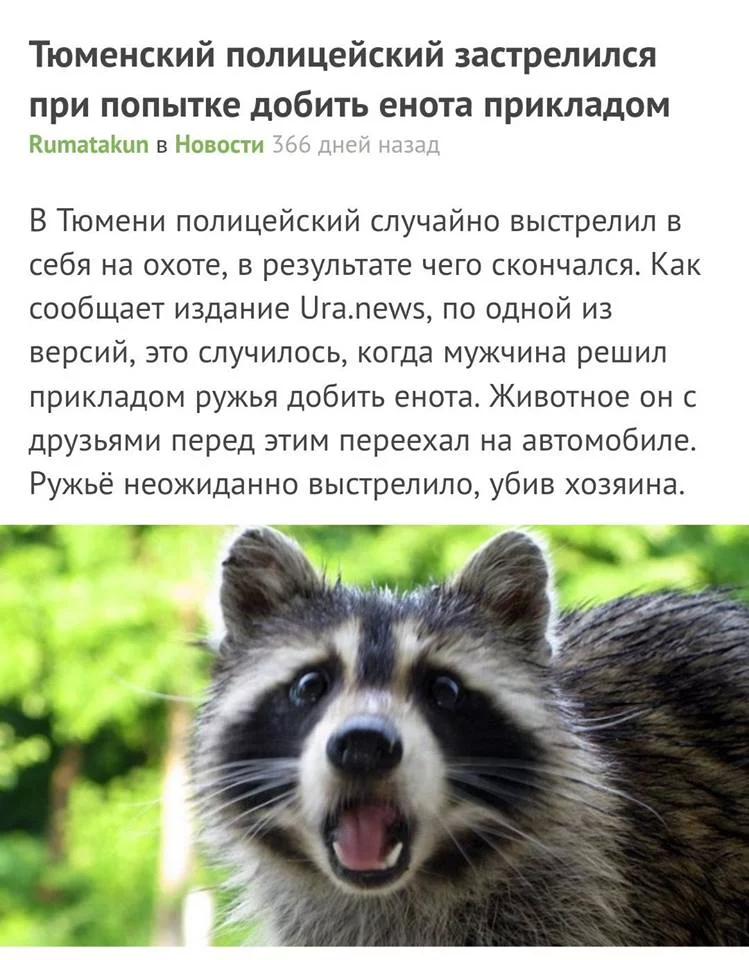 dgjgh1.webp