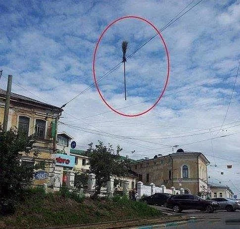 dgjj9b.jpg