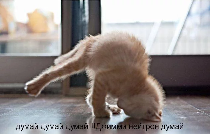 dh8hha.webp