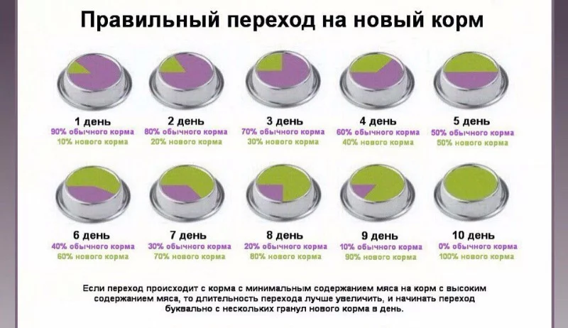 dhbb9b.webp