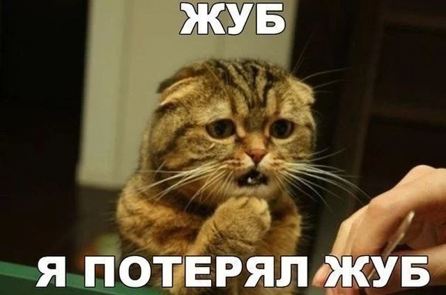 dhddb4.webp