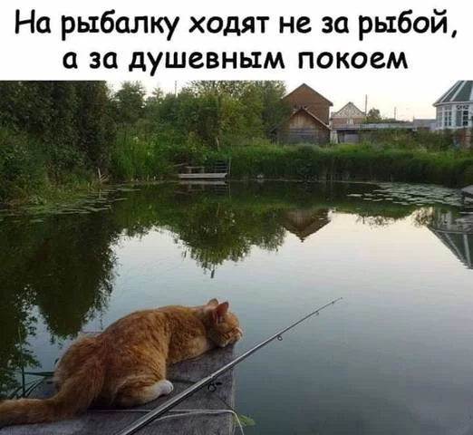 dhdeg3.webp