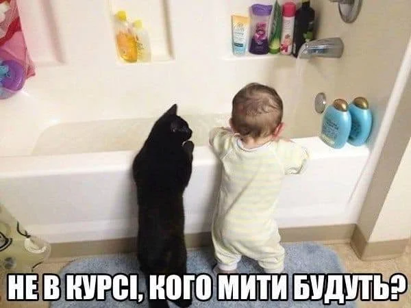 dhdf1h.webp