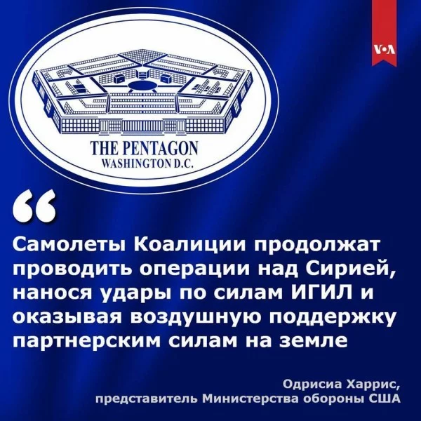 dhf8bg.webp