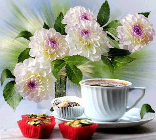 dhf9jc.webp