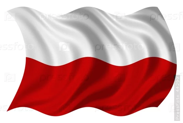dhfh7h.webp
