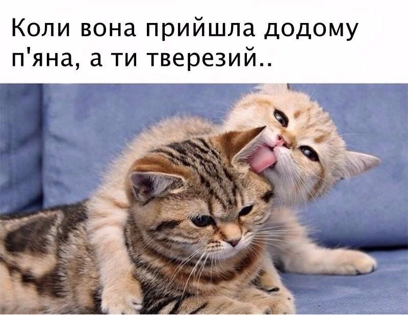 dhggd7.webp