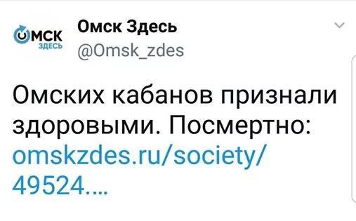 dhgh4f.webp