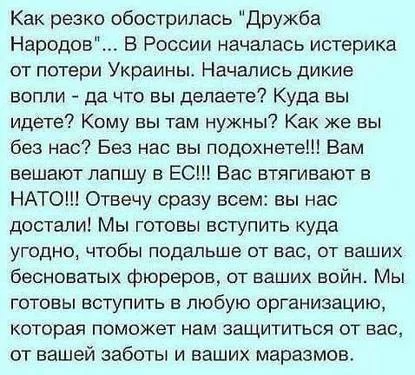 dhhfg8.webp