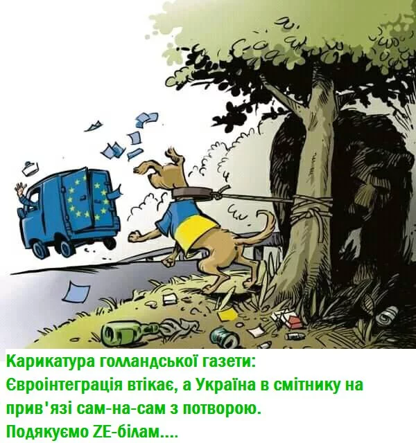 dhj1ga.webp