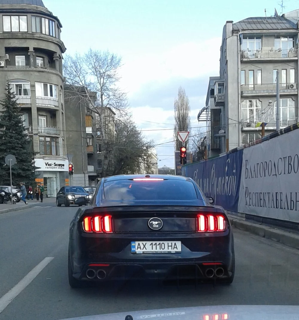dhjfd7.webp