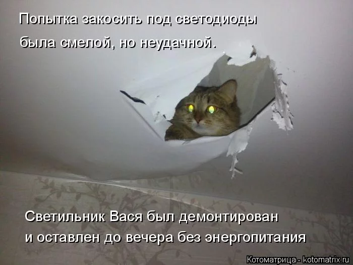 dhjge9.webp