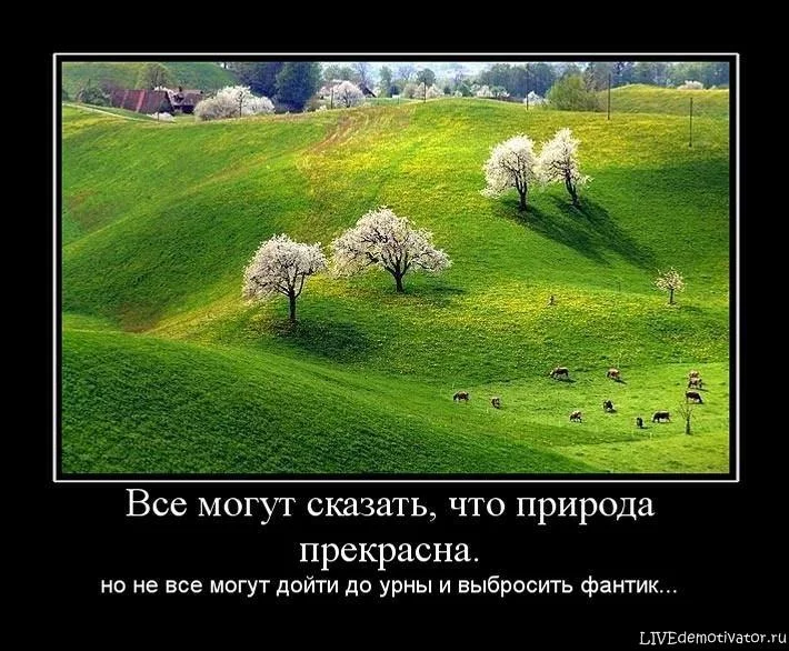 di0ka1yq4k.webp