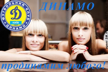 dinamo.webp