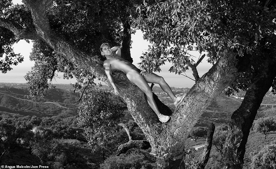 ding_tree_branches_were_used_to-a-23_1605681997942.jpg