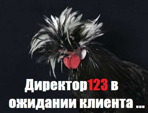 director123.jpg