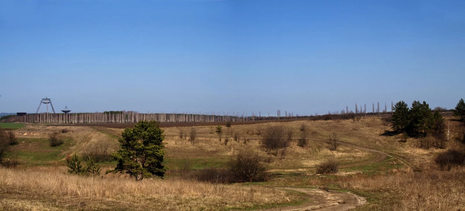 distant+radar.webp