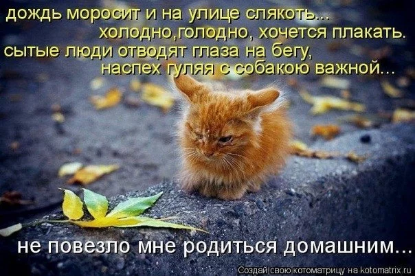 DiW-khCIRok.webp