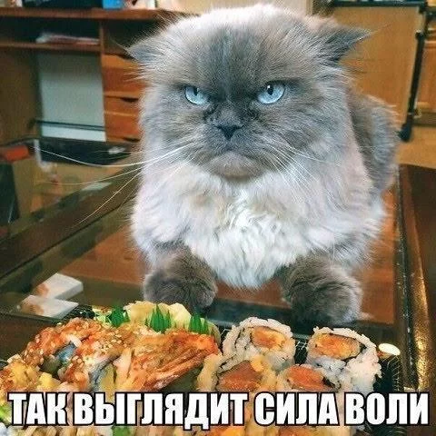 dj8cja.webp
