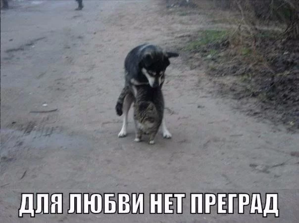 djb6ea.webp