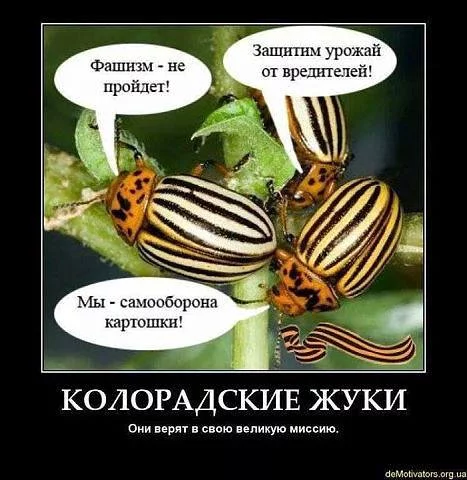 djc2hb.webp