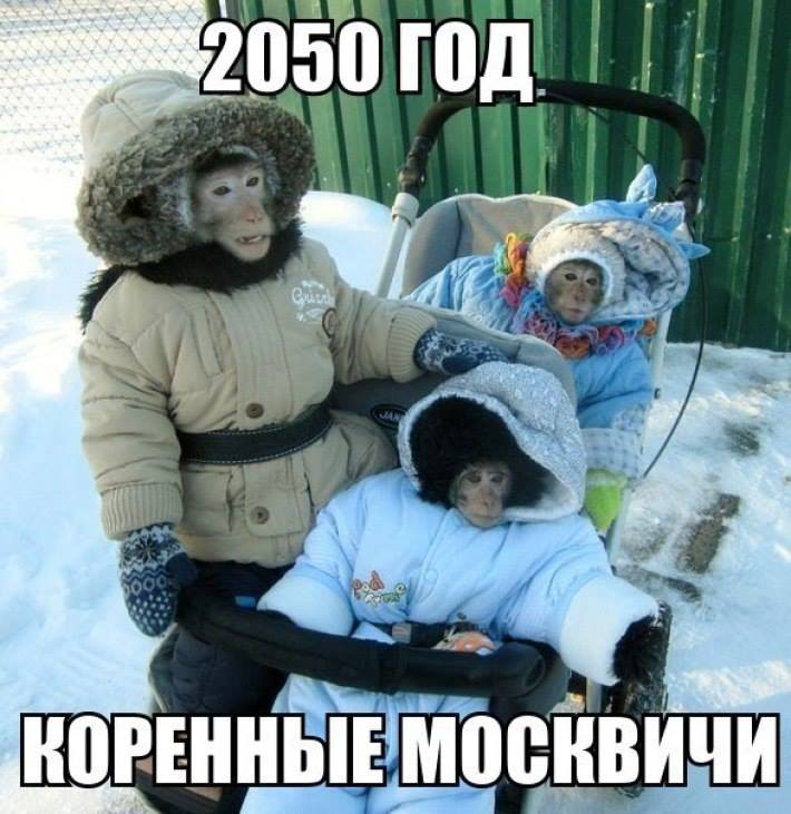 djdb0a.jpg