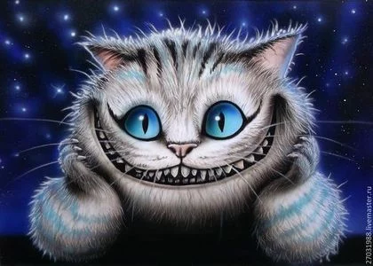 djde9b.webp