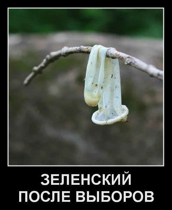 djdgd7.webp