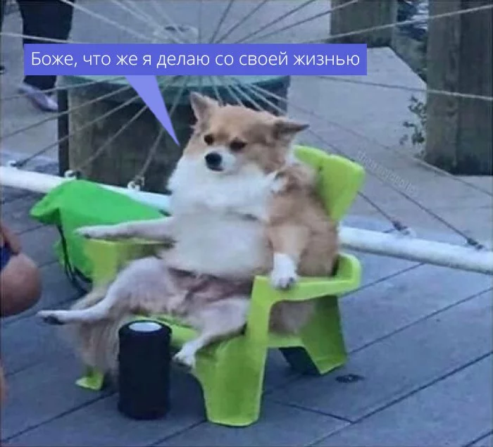 djejg5.webp