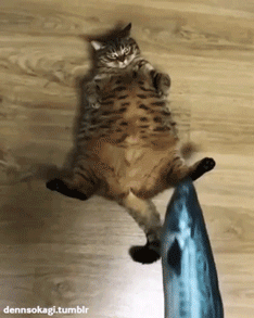djffe0.gif