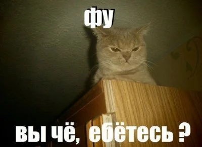djg4ff.webp