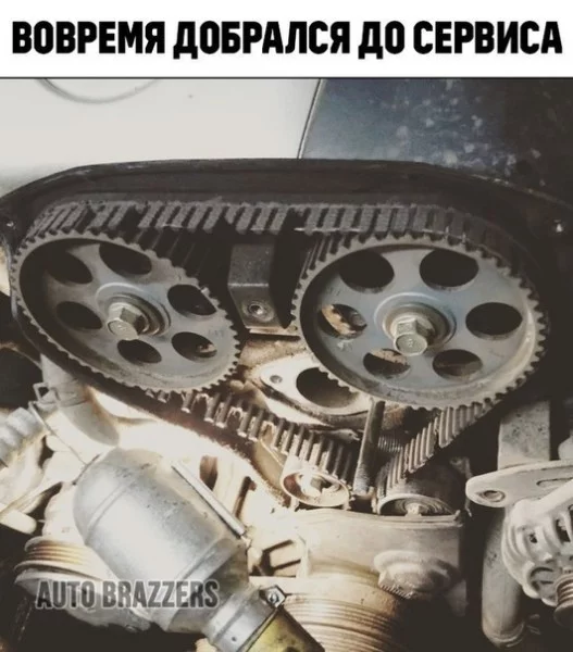 djjd6e.webp