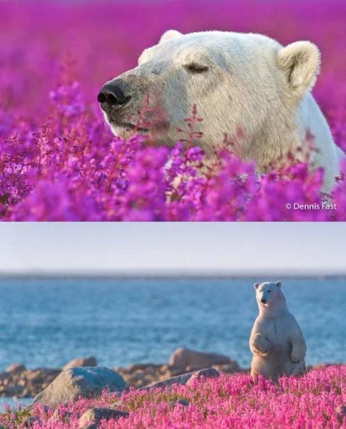 dKZgeVYLVAs.webp