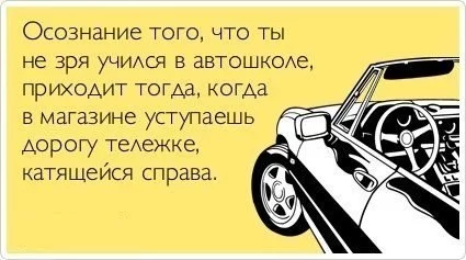 dmlQaBh8O4k.webp