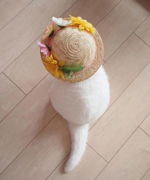 DMRxbRLSFOc.webp