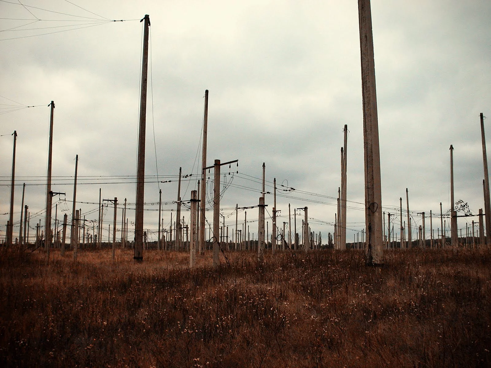 Dn6761.webp