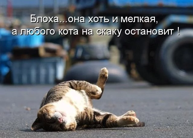 Dnc06nHkWH4-e1364156547425.webp