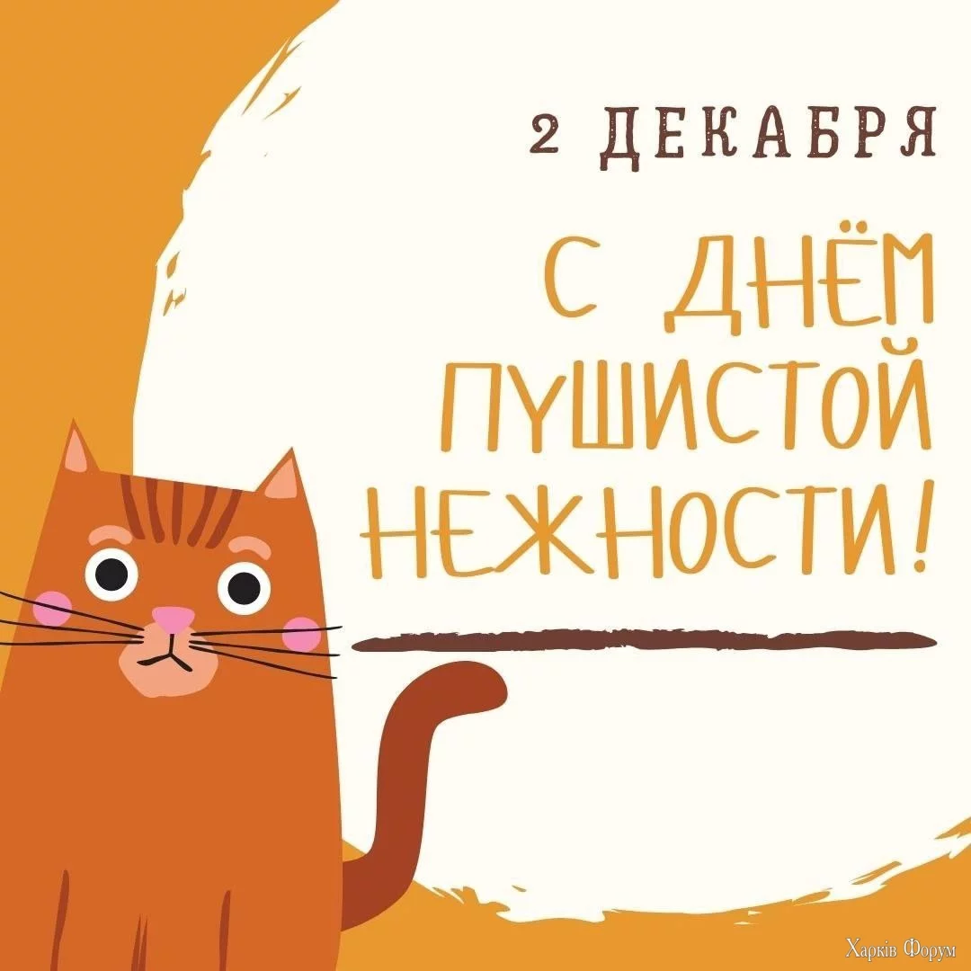  днем пушистой нежности.webp