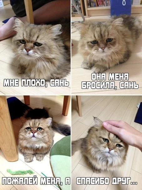 dnK0SMRZ4oU.webp