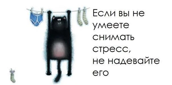 DnSb3.webp