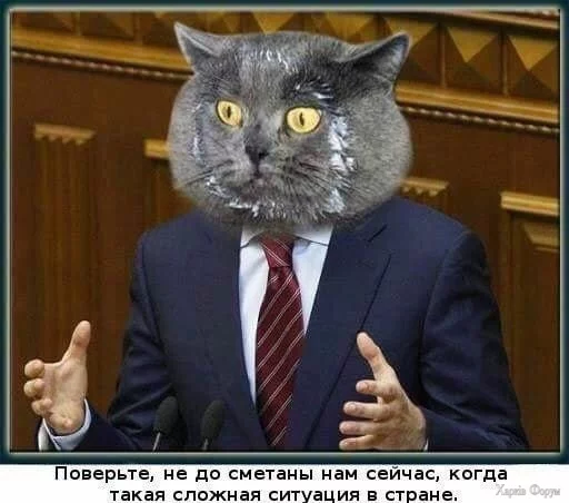  до сметаны.webp
