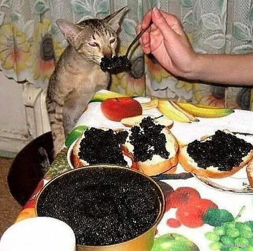  добавка.webp