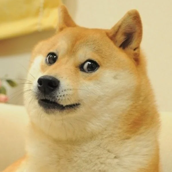 Doge.webp