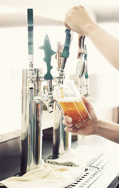 dogfish-9-600.gif