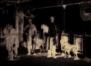 dogs_titanic.webp