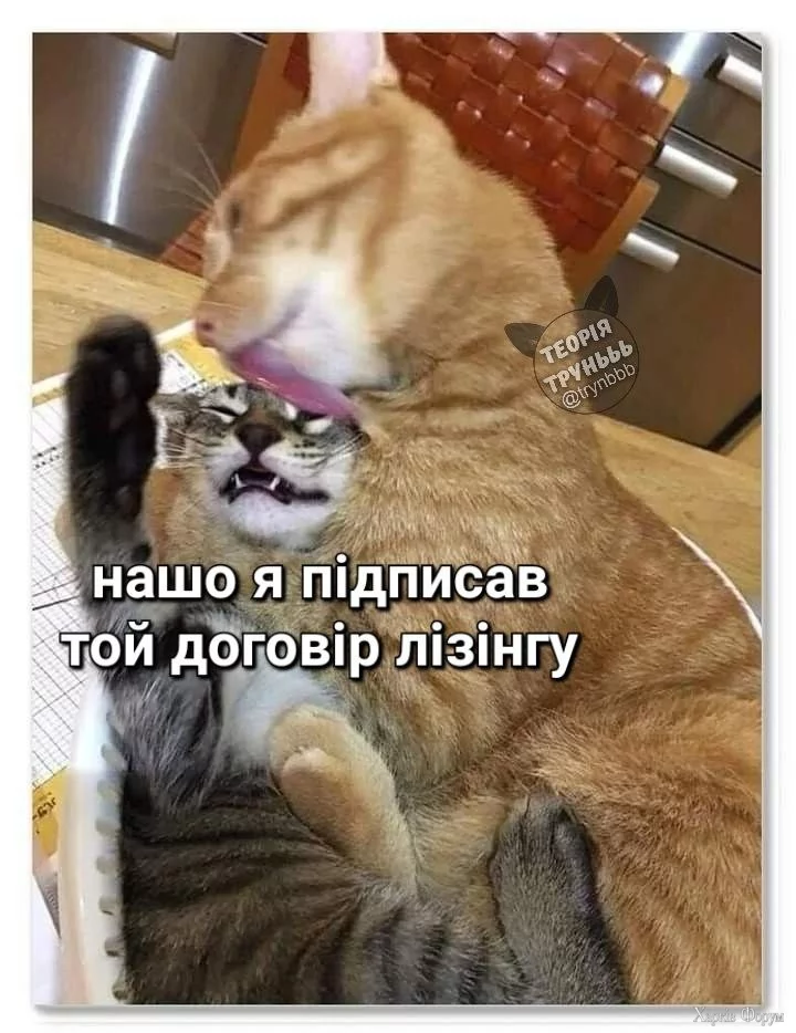кіт договір лізінгу.jpg