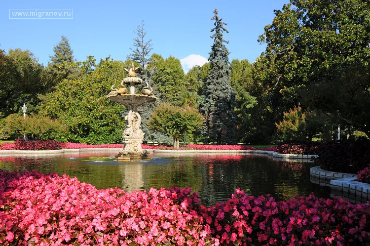 dolmabahce.webp