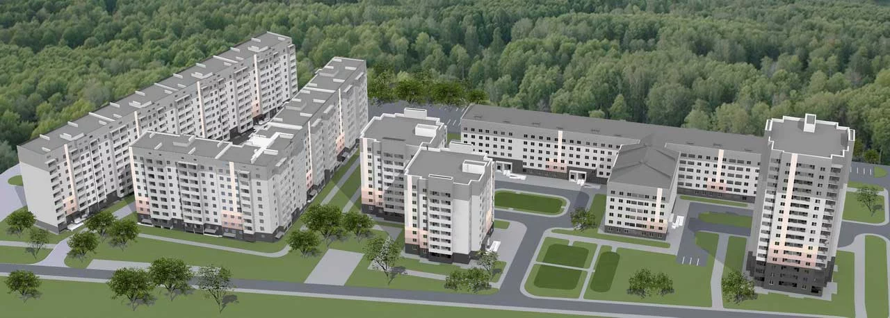 domostroitelnaya-main.webp